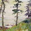 Spruce Trees_16x12_Watercolor