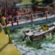 Aberdeen Dock_6x6_Watercolor