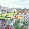 View of Cortona_12x16_Watercolor