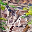 Below the falls, 16 x 12, Watercolor