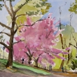 Cherry Blossoms on Bridle Path 1_16x12_Watercolor