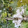 Sprintime at the Pond_9x6_Watercolor